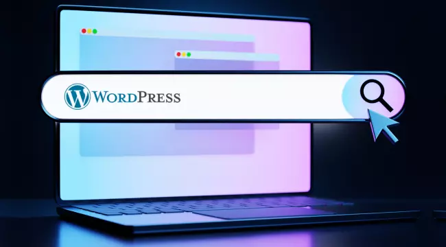 Best WordPress Search Plugins for Faster and Accurate Results